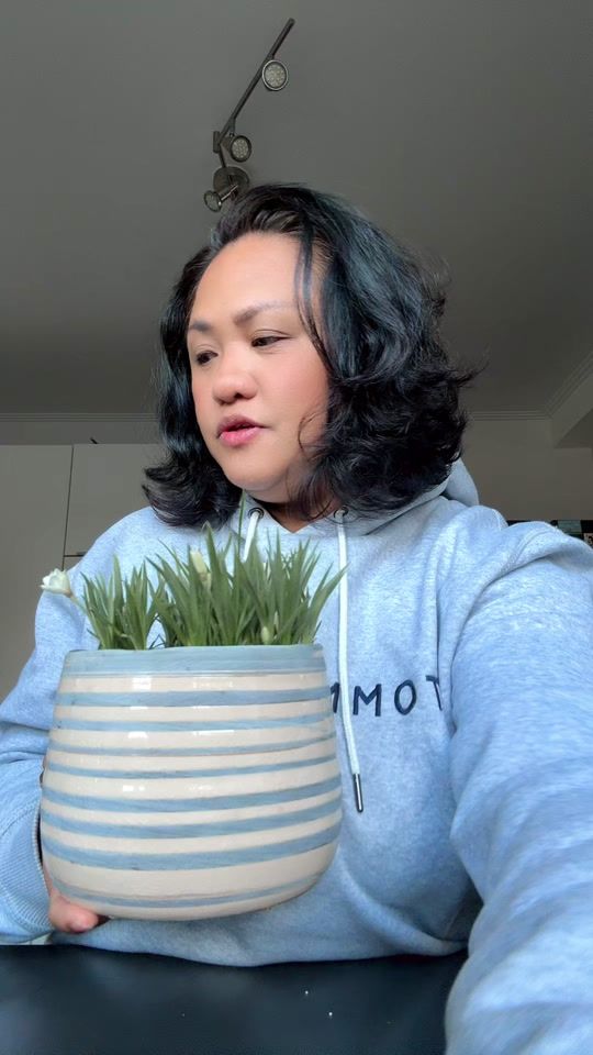 TikTok video thumbnail by daisy41931