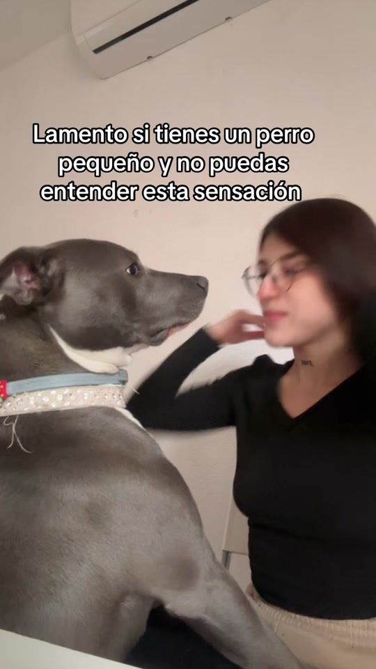 TikTok video thumbnail by diosavenuspit