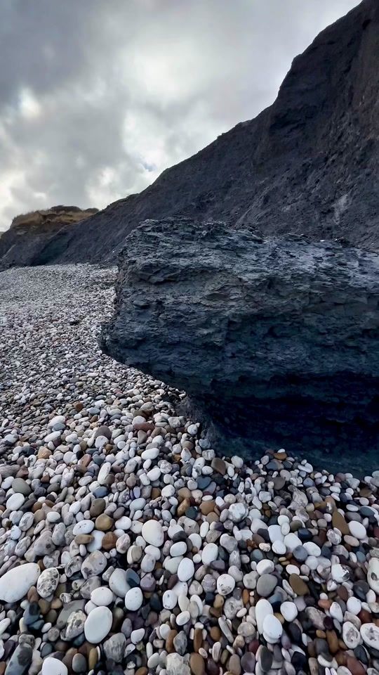 TikTok video thumbnail by yorkshire.fossils