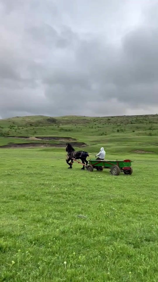 TikTok video thumbnail by razvan_official.22