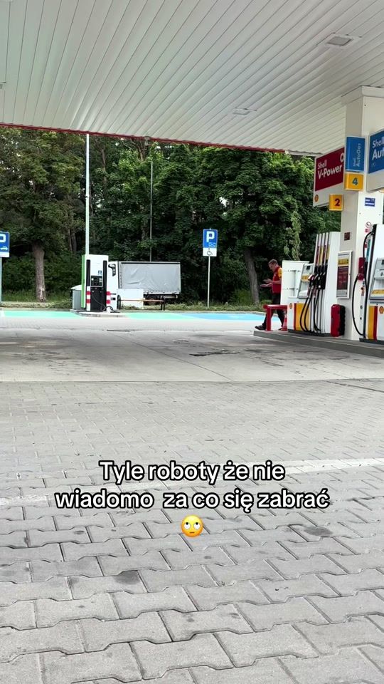 TikTok video thumbnail by shell.dbie