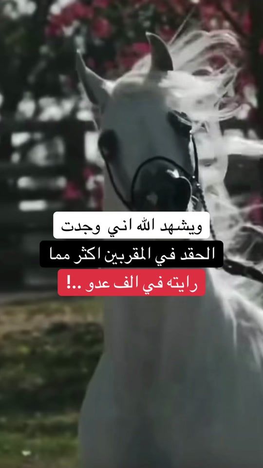 TikTok video thumbnail by nisrino444