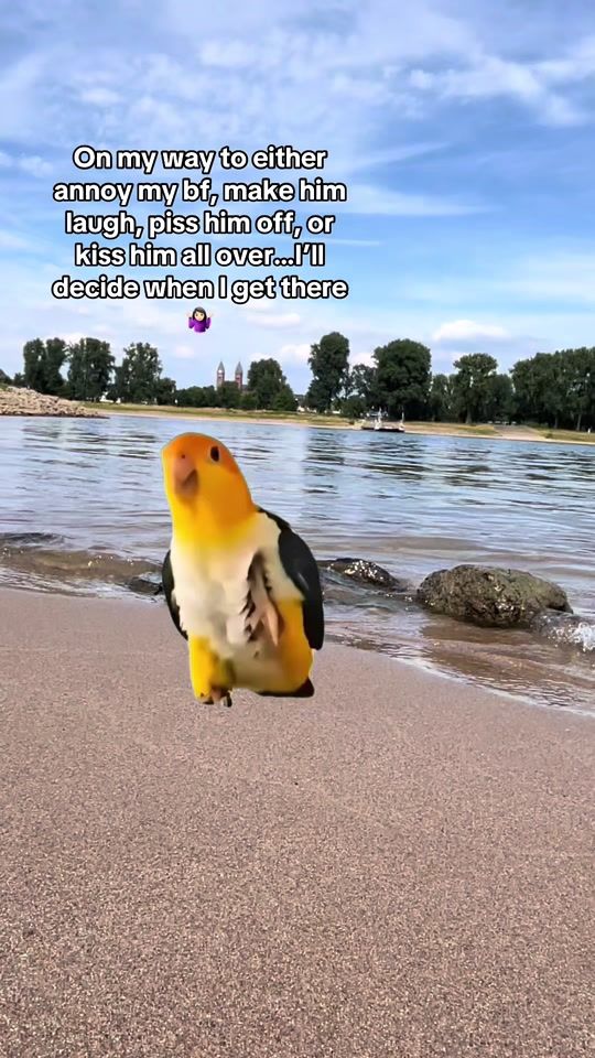 TikTok video thumbnail by alinawon77