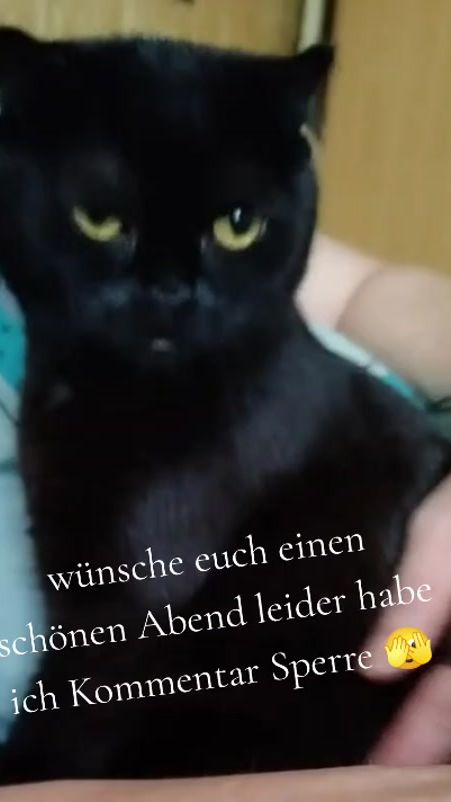 TikTok video thumbnail by karizmaa51