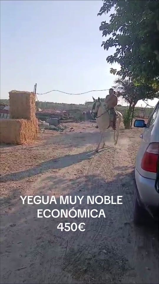 TikTok video thumbnail by pruna2022pruna