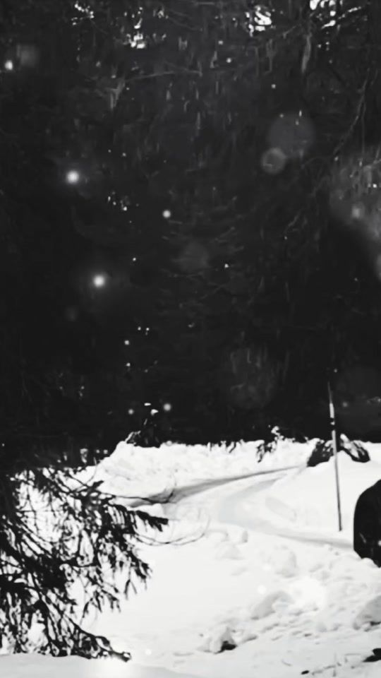 TikTok video thumbnail by medea19s