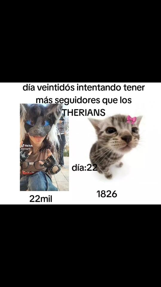 TikTok video thumbnail by gatitovstherians