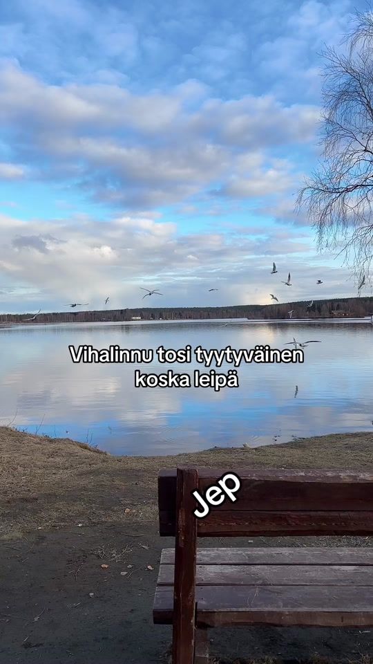TikTok video thumbnail by micomantyla