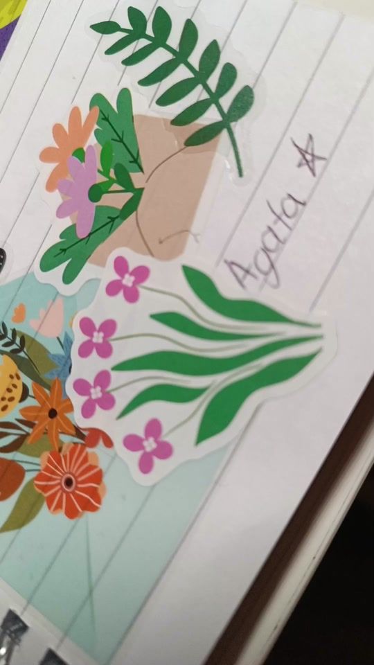 TikTok video thumbnail by sofi.sofi_100