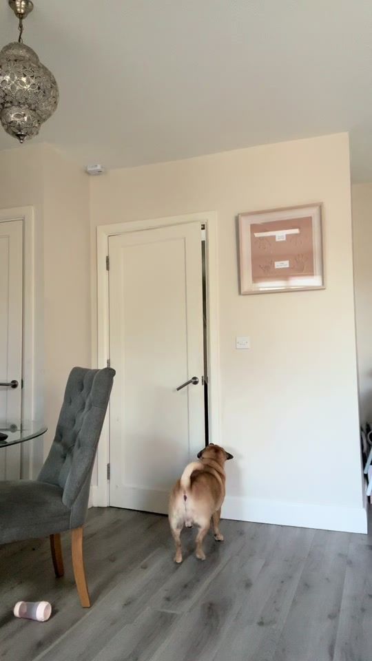 TikTok video thumbnail by emmajanesimms