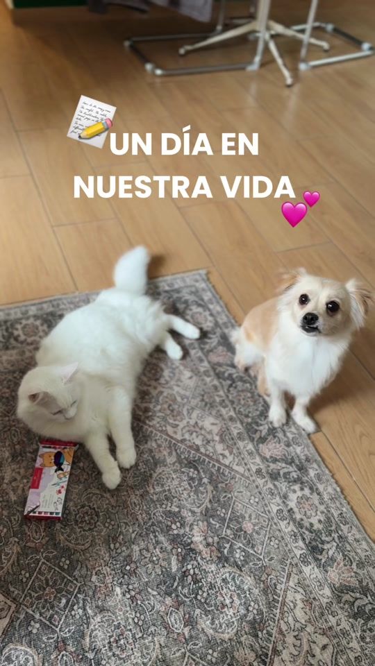 TikTok video thumbnail by fabercastellperu