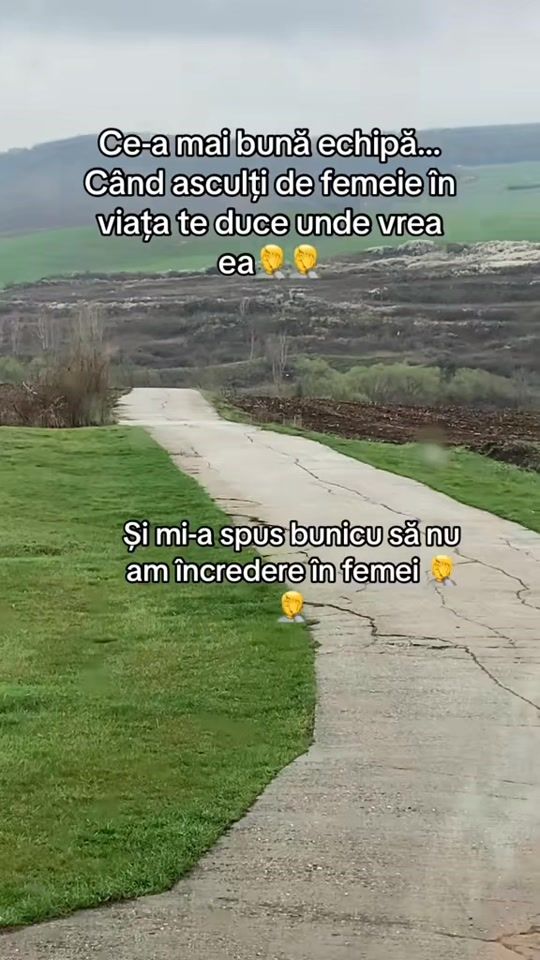 TikTok video thumbnail by dallisstefan