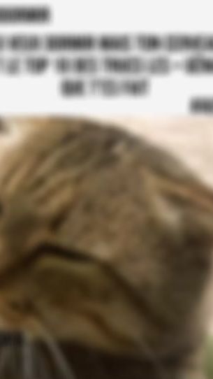 TikTok video thumbnail by jacob.az7