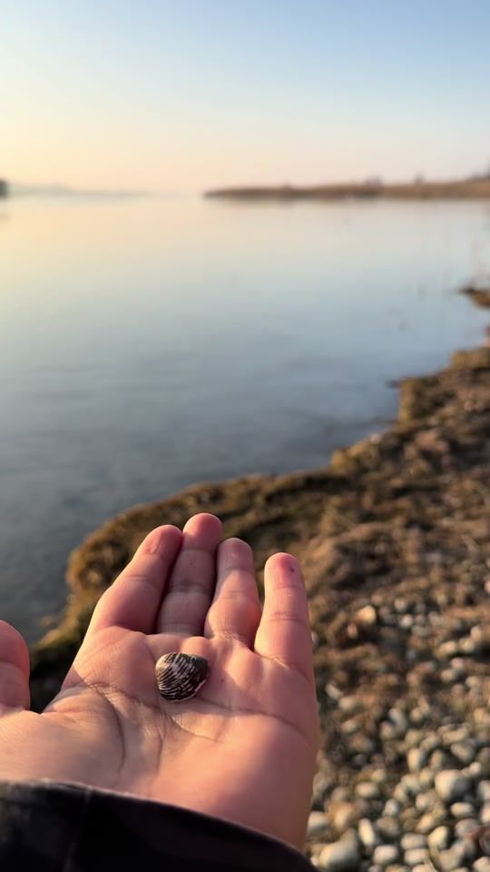 TikTok video thumbnail by justtravel57