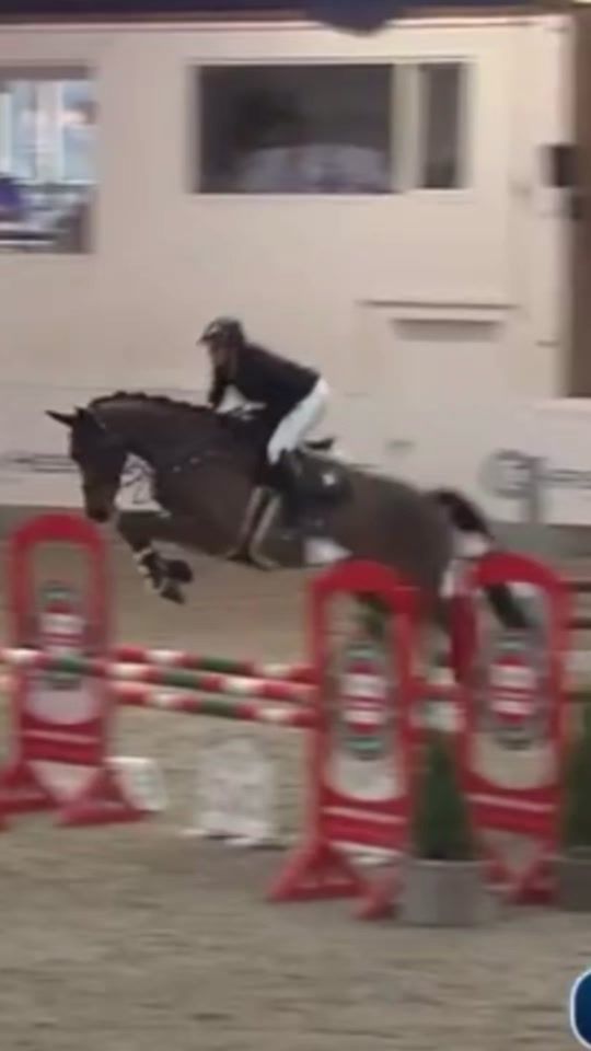 TikTok video thumbnail by ms_showjumping