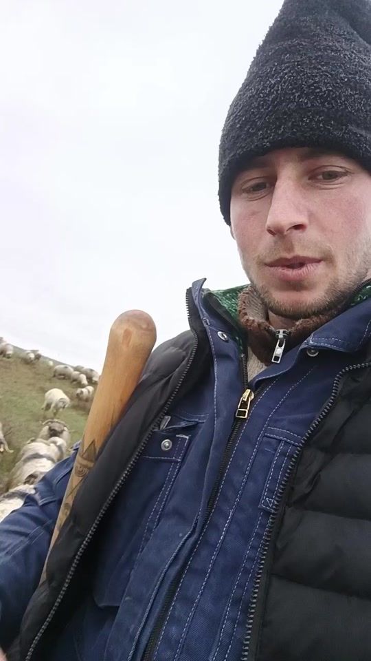 TikTok video thumbnail by marian.vlad523