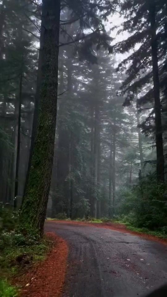 TikTok video thumbnail by elblogdelgymrat