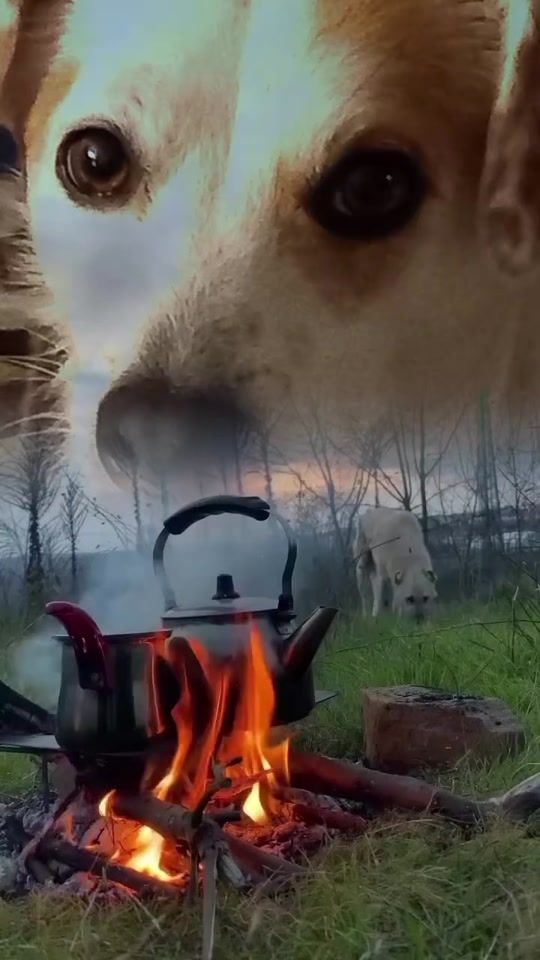 TikTok video thumbnail by patrickortwein2