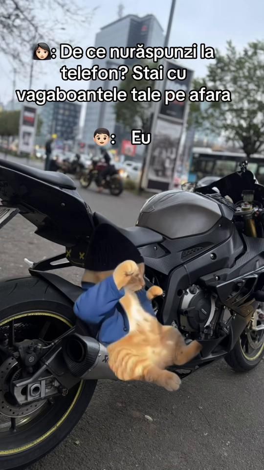 TikTok video thumbnail by fluffy.bunny87