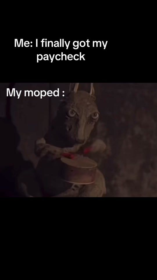 TikTok video thumbnail by speederfighter3