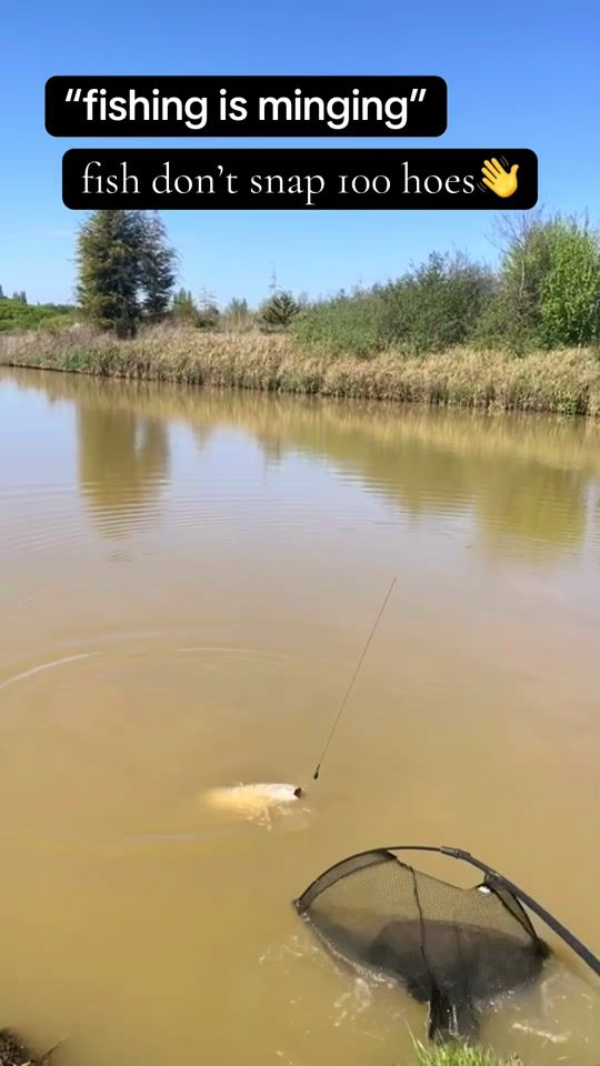 TikTok video thumbnail by uk_fishing43