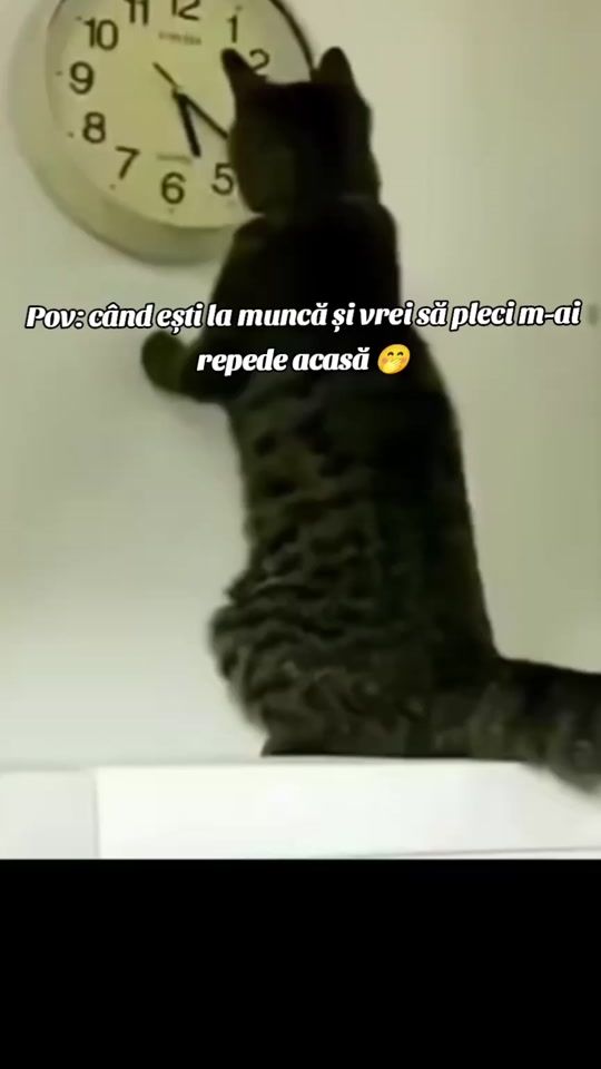 TikTok video thumbnail by vladpasquale94