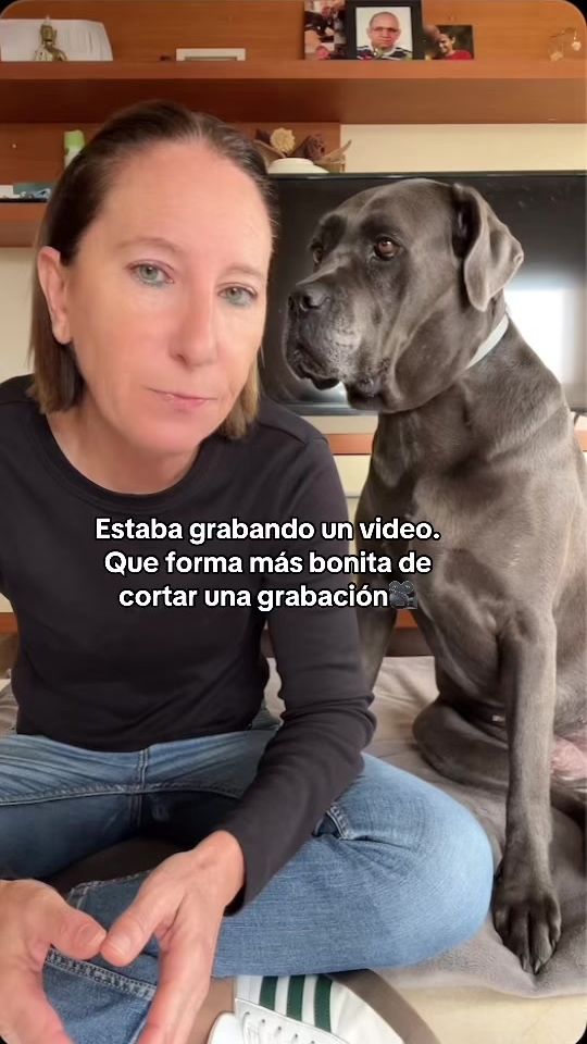 TikTok video thumbnail by canecorsoseth.oficial