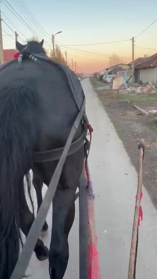 TikTok video thumbnail by ferdun41