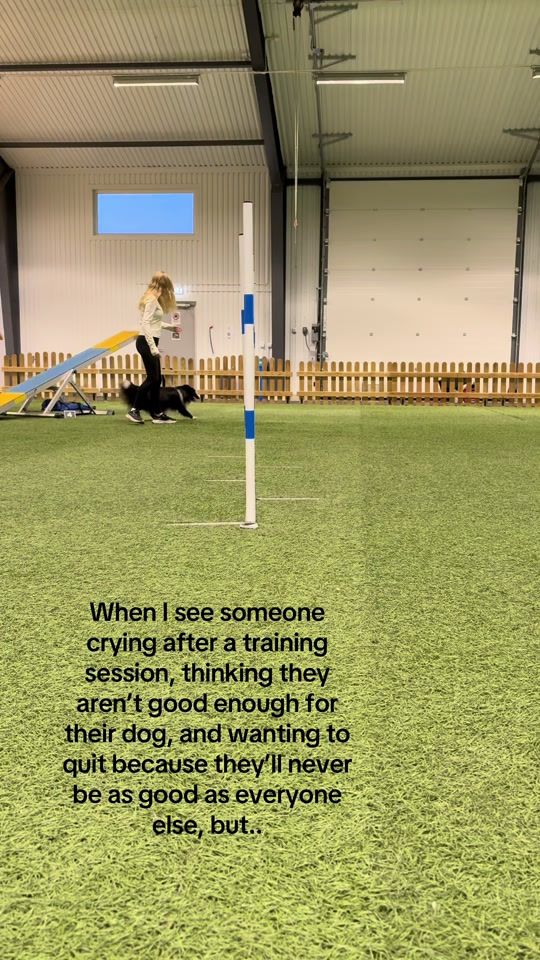 TikTok video thumbnail by sheltie_swift