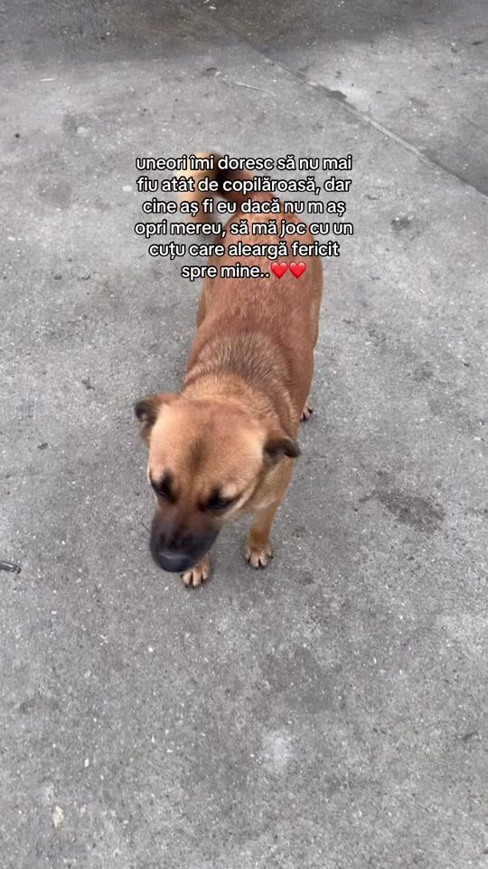 TikTok video thumbnail by ___monicaaa16___