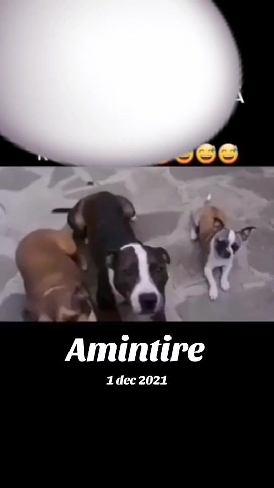 TikTok video thumbnail by gabriella03975