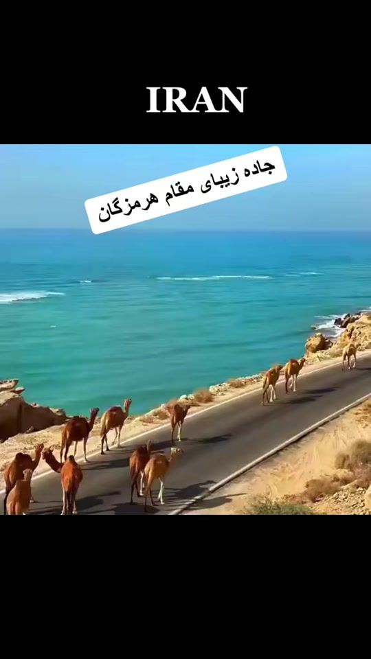 TikTok video thumbnail by soheila.bano
