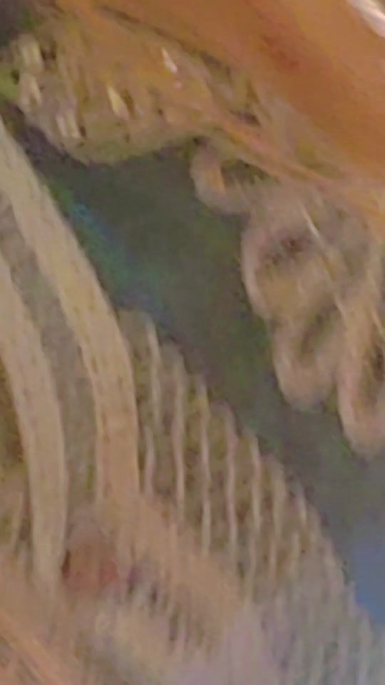 TikTok video thumbnail by cristina.silva6410