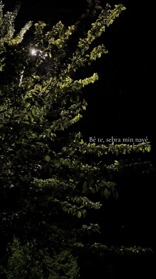 TikTok video thumbnail by di1ara366