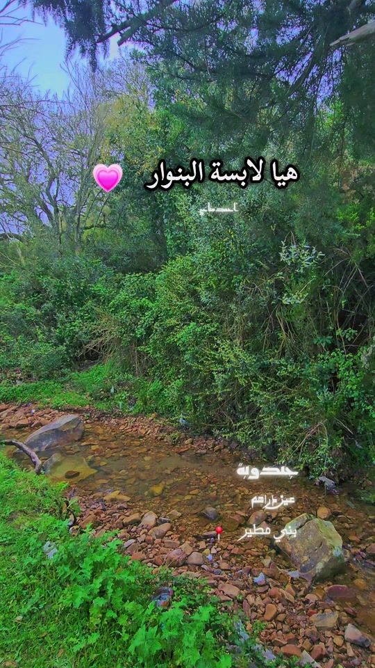 TikTok video thumbnail by ahmedmanai26