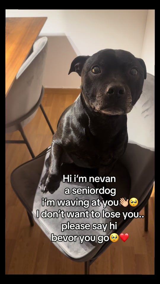 TikTok video thumbnail by nevan0117