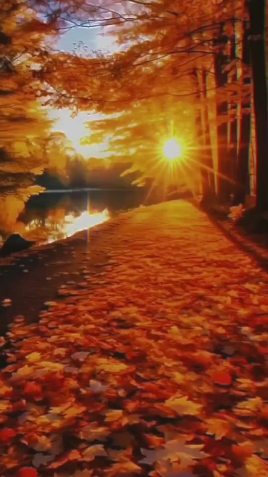 TikTok video thumbnail by s.s.lamore..e