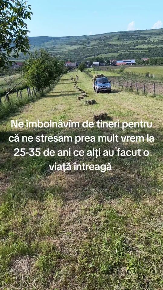 TikTok video thumbnail by silviuoros22