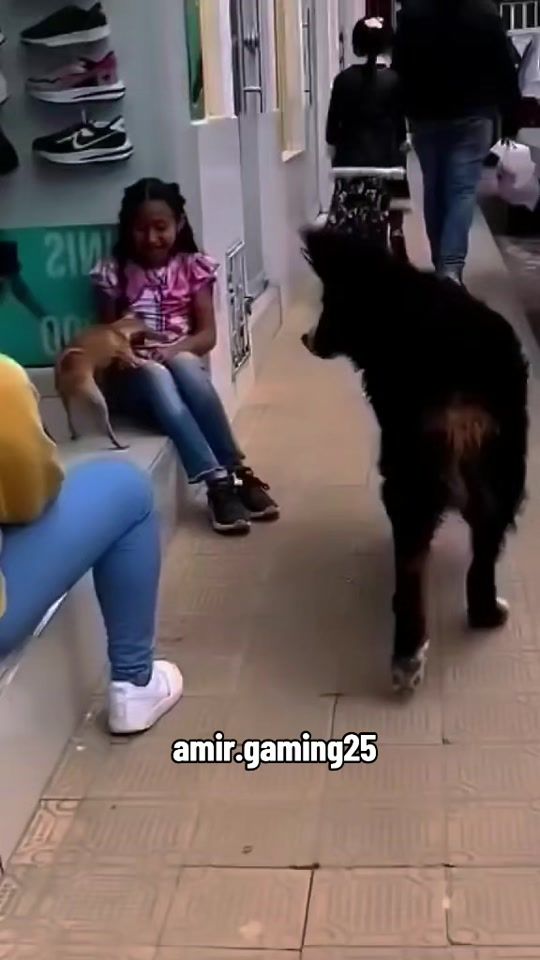 TikTok video thumbnail by amir.gaming25