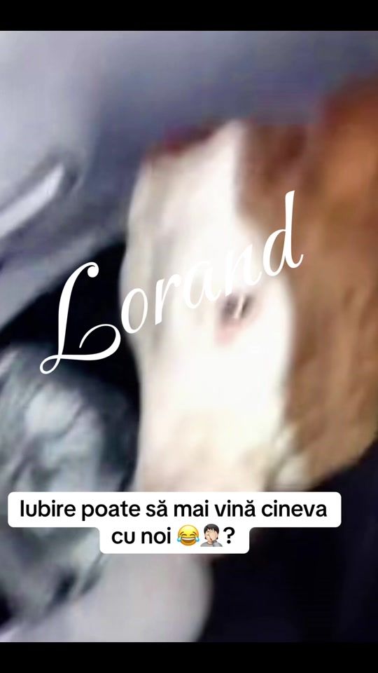 TikTok video thumbnail by makaveli.netfan