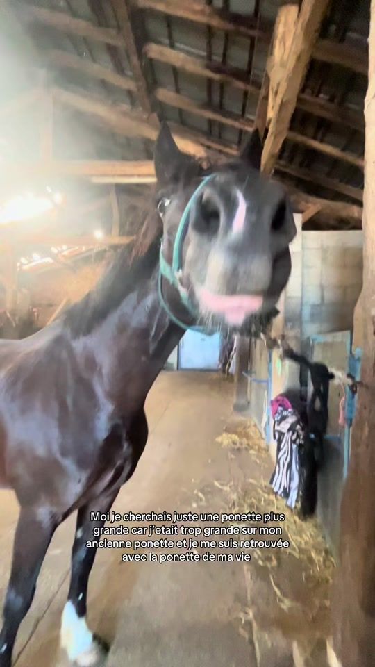 TikTok video thumbnail by eclipse_de_pilorges