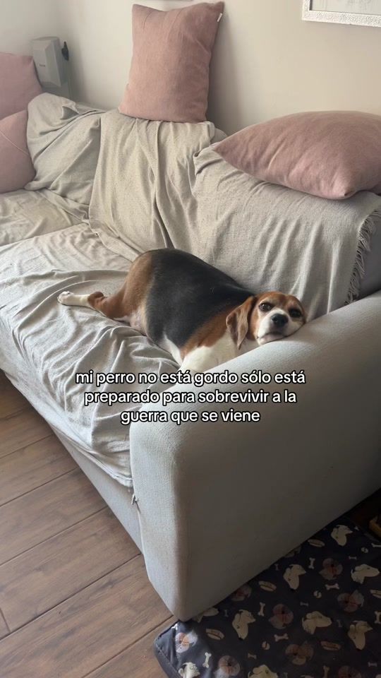 TikTok video thumbnail by andreaagrelaa