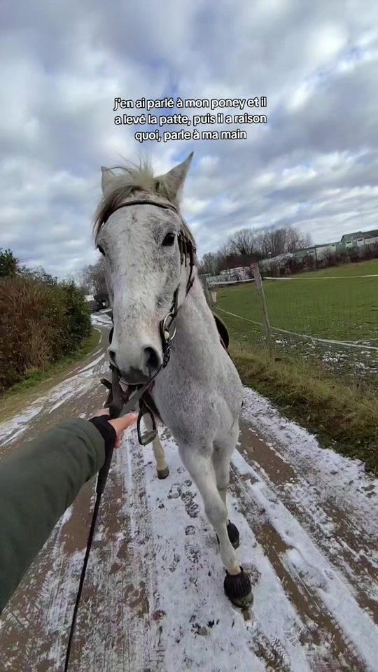 TikTok video thumbnail by belike.sl