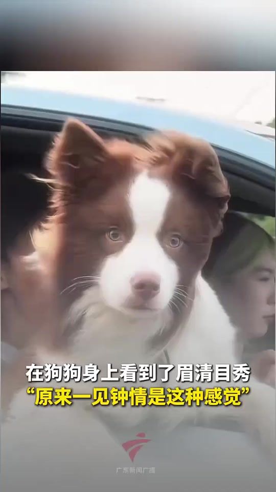 TikTok video thumbnail by cute__hana