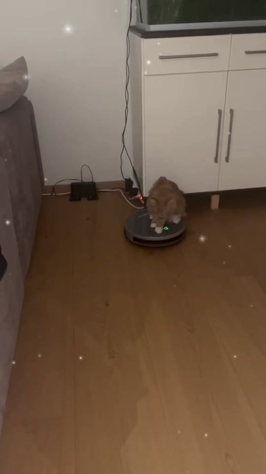 TikTok video thumbnail by lilprunus