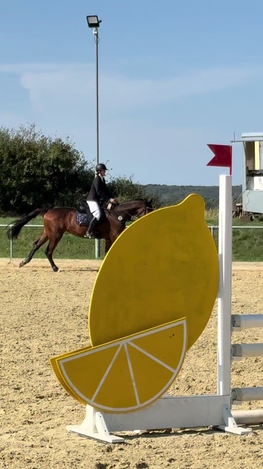 TikTok video thumbnail by _equestrian.lrx