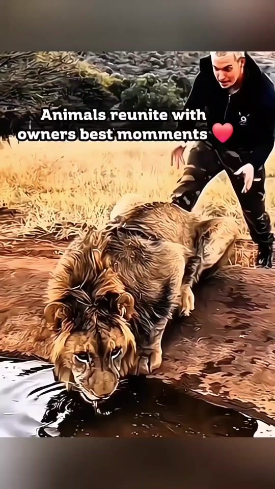 TikTok video thumbnail by love.animals828