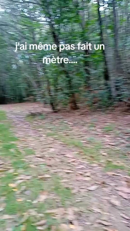 TikTok video thumbnail by mimi33171