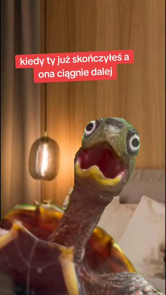 TikTok video thumbnail by chujcietoobchodzi111