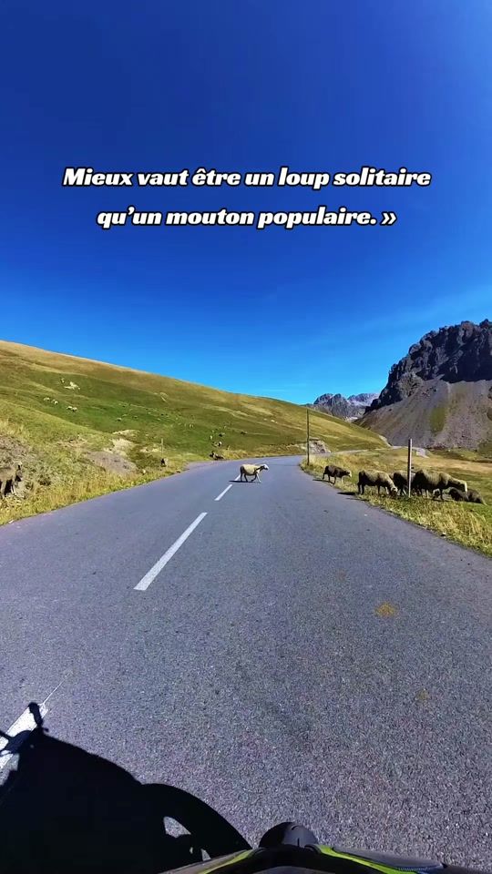 TikTok video thumbnail by yoshii_br25